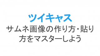 ツイキャスが見れない 重い お茶投げれないときの対処法 ライブ配信 Net